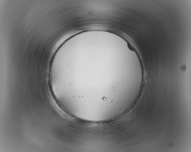 X0000111221195200907020952