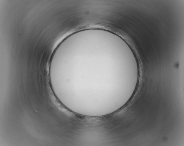 X0000111221198200907020952
