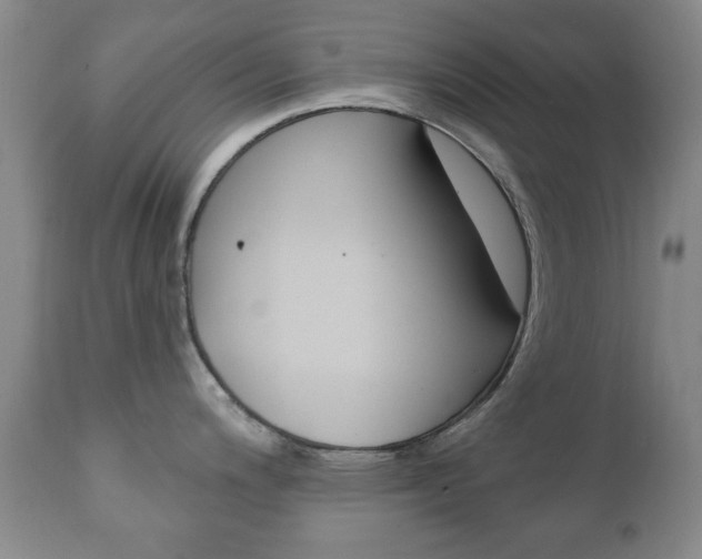 X0000111221200200907020952