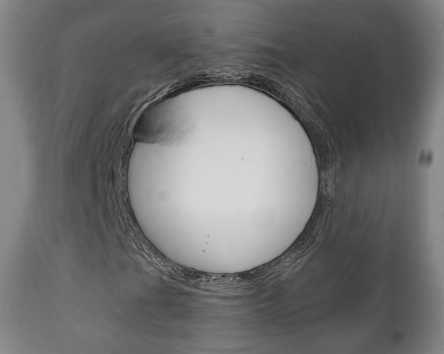 X0000111221201200907020951