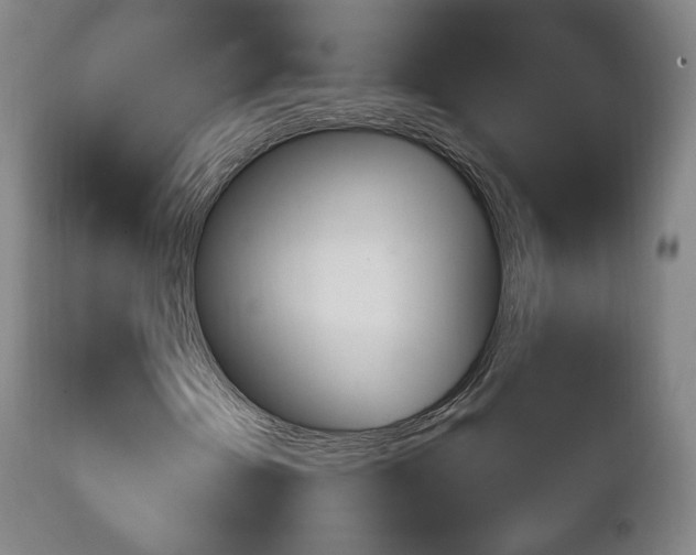 X0000111221202200907020951