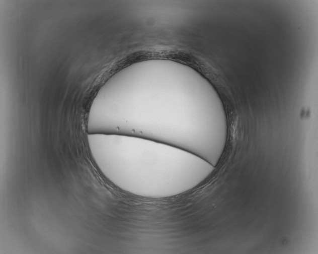 X0000111221204200907020952