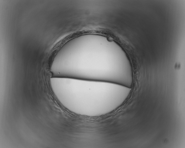 X0000111221206200907020952