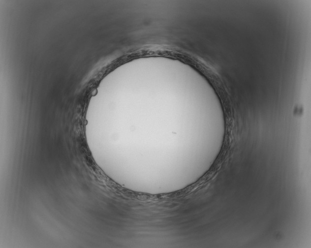 X0000111221207200907020952
