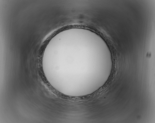 X0000111221208200907020952