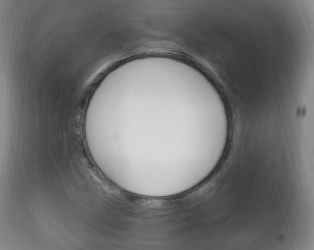 X0000111221211200907020952