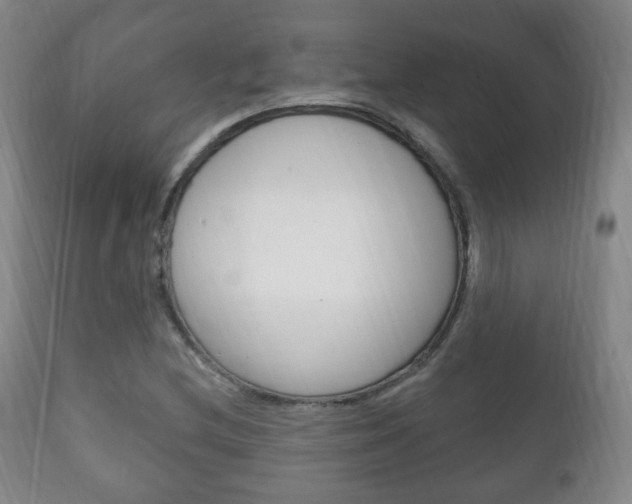 X0000111221212200907020952