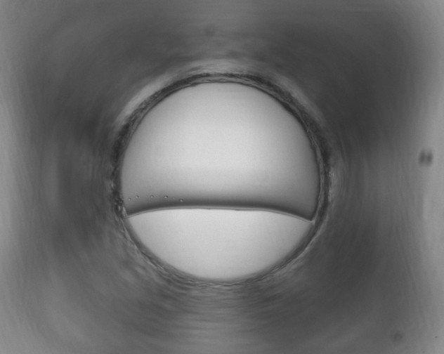 X0000111221213200907020952