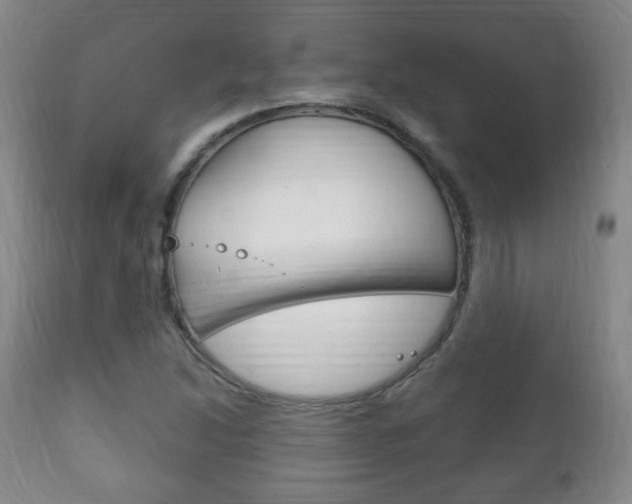 X0000111221214200907020952