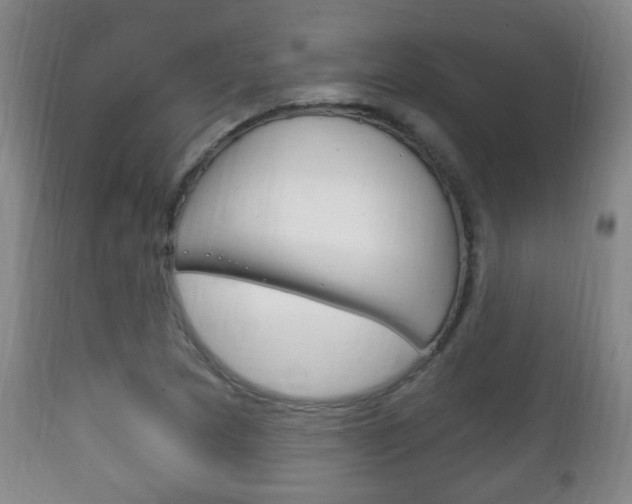 X0000111221217200907020952