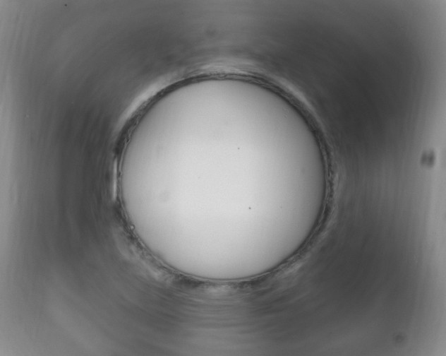 X0000111221219200907020952