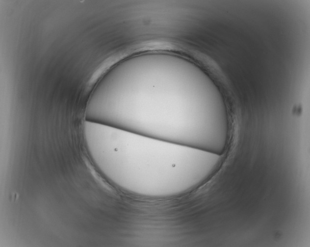 X0000111221225200907020952