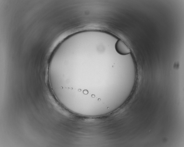 X0000111221227200907020952
