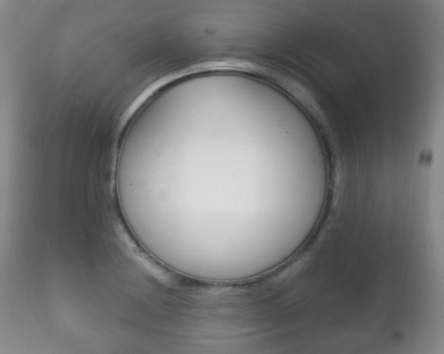 X0000111221228200907020952