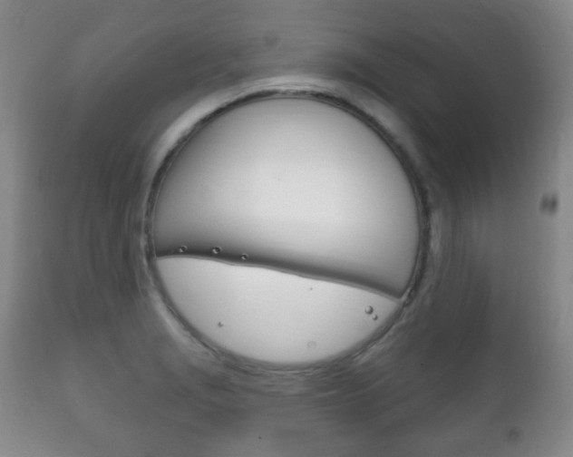 X0000111221229200907020952