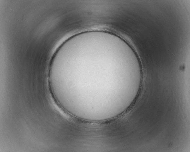 X0000111221235200907020952