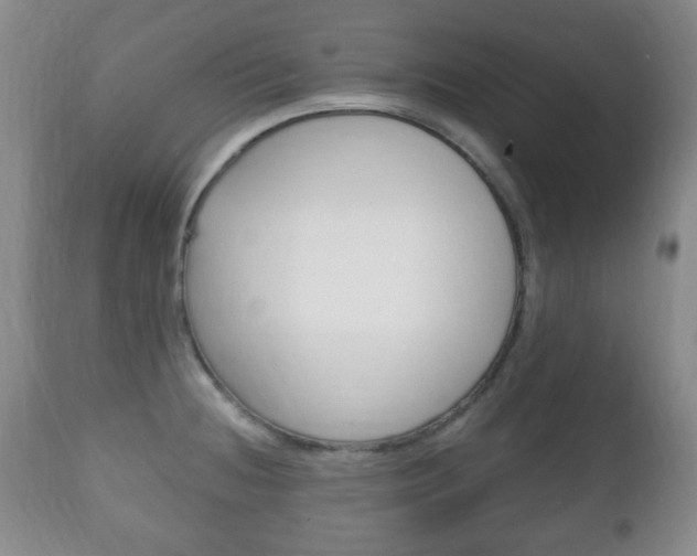 X0000111221236200907020952
