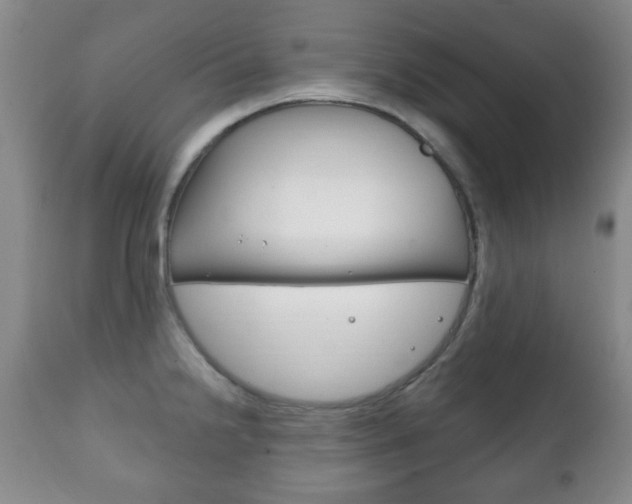 X0000111221238200907020952