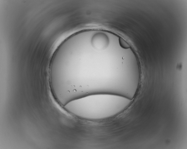X0000111221239200907020952