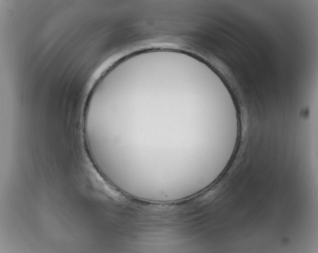 X0000111221240200907020952
