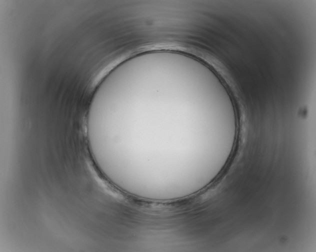 X0000111221241200907020952