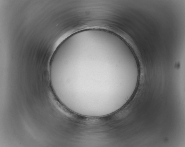 X0000111221242200907020952