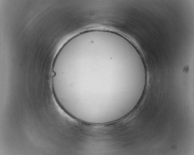 X0000111221247200907020952