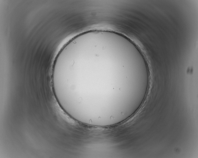 X0000111221248200907020952