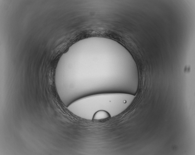 X0000111221250200907020951