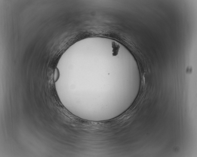 X0000111221251200907020951