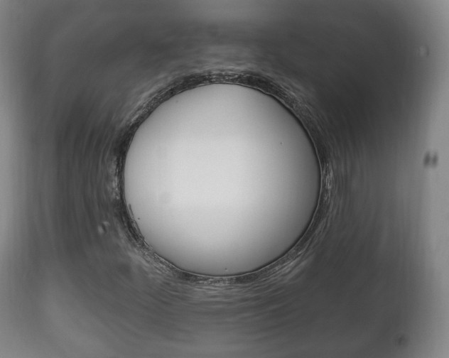 X0000111221252200907020951