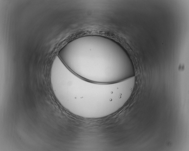 X0000111221253200907020951