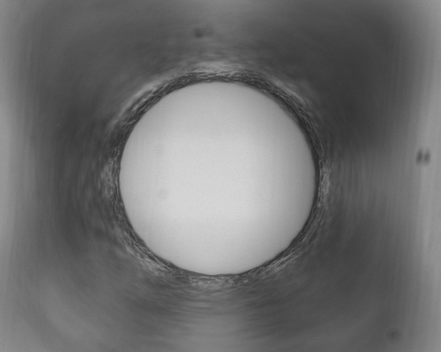 X0000111221254200907020951