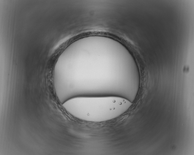 X0000111221255200907020951