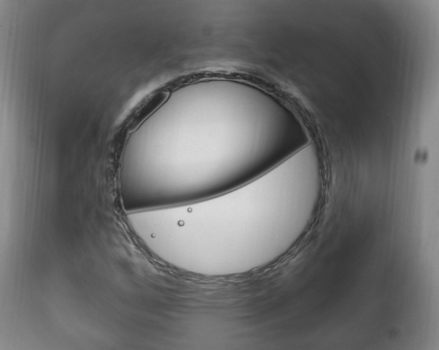 X0000111221256200907020951