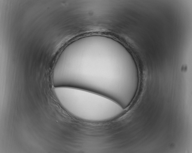 X0000111221257200907020951