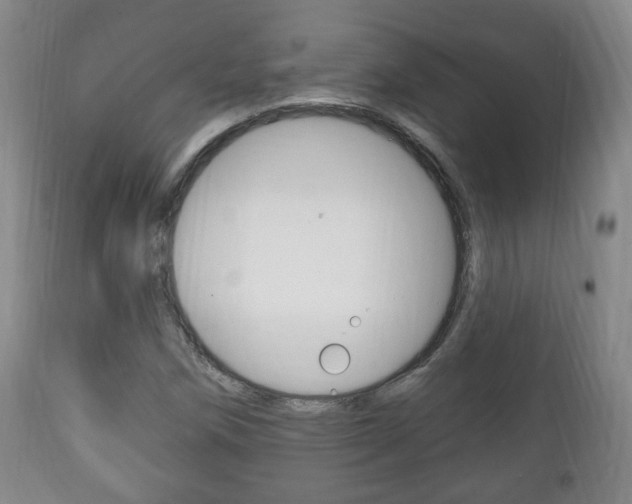 X0000111221258200907020951