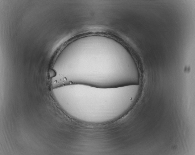 X0000111221261200907020951