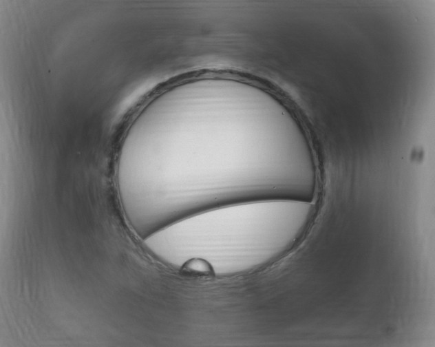X0000111221263200907020951