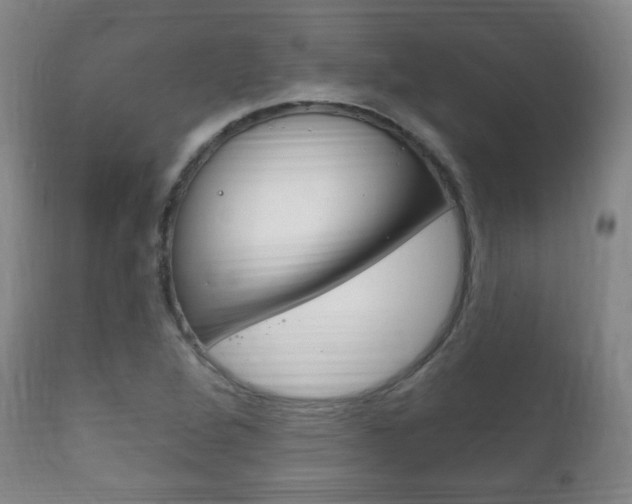 X0000111221264200907020951
