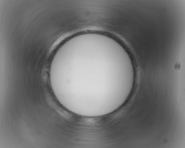 X0000111221266200907020951