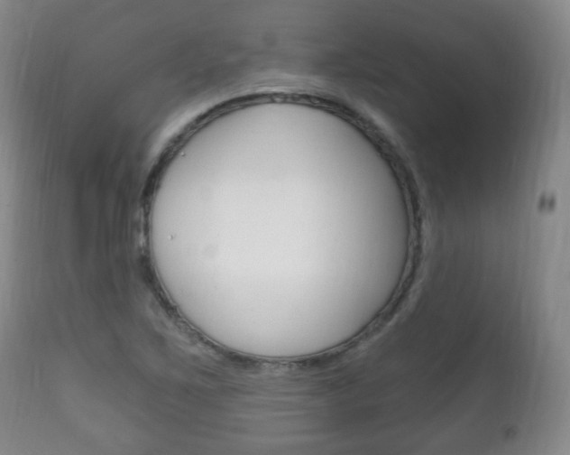X0000111221267200907020951