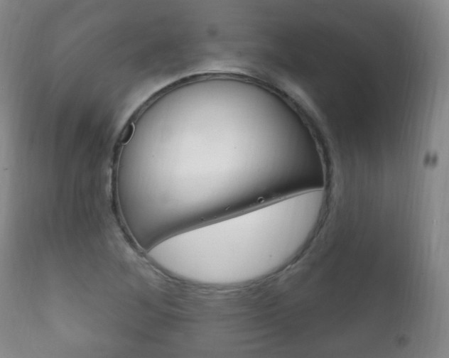 X0000111221268200907020951