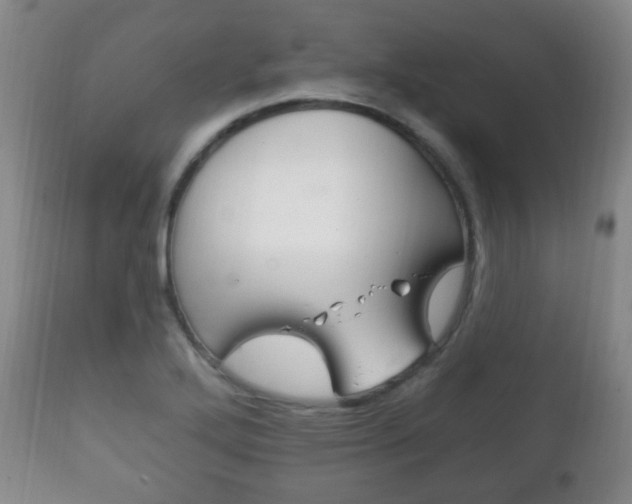 X0000111221272200907020951