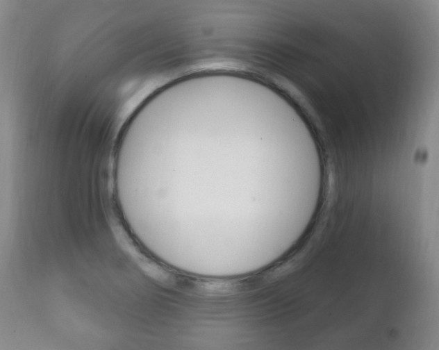 X0000111221274200907020951