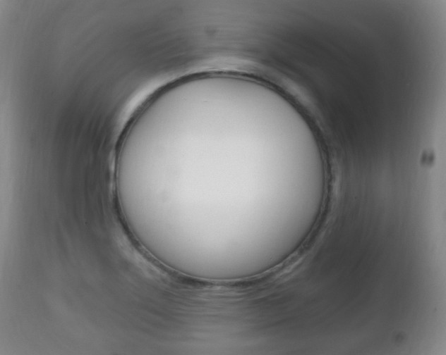 X0000111221275200907020951
