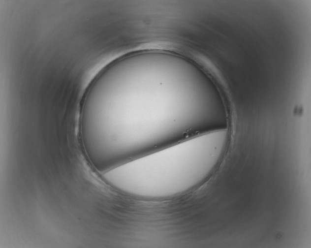 X0000111221276200907020951