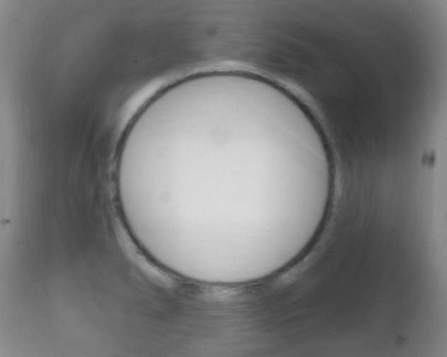 X0000111221278200907020951