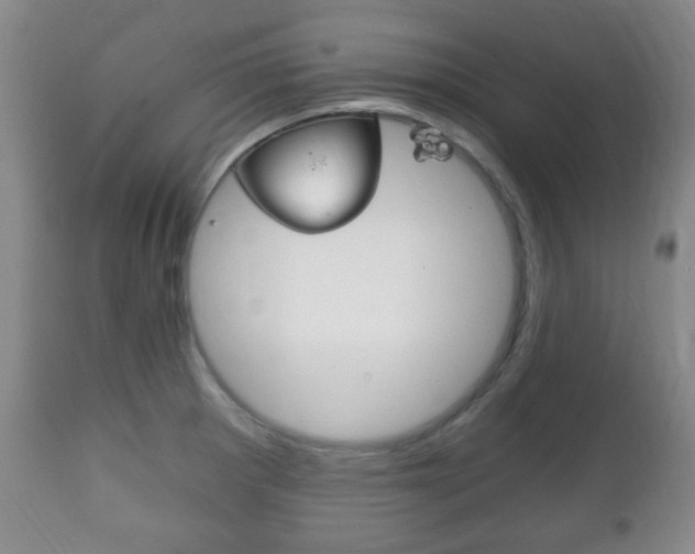 X0000111221281200907020951