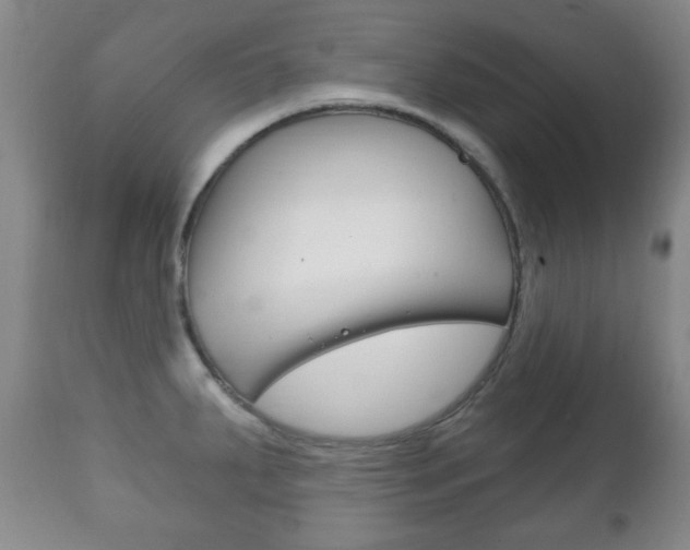 X0000111221287200907020951